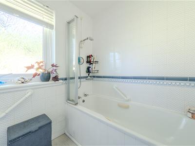 Picture 15